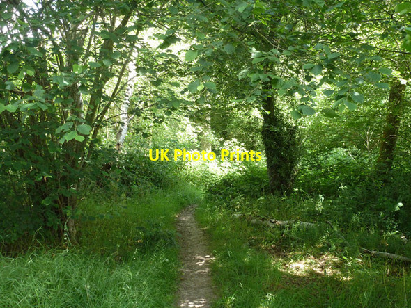 Photo 6"x4" Public footpath 9W Crabbet Park c2014