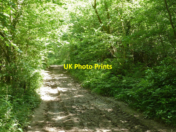 Photo 6"x4" Public footpath 9W Crabbet Park c2014