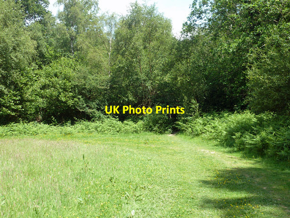 Photo 6"x4" Public footpath 9W Copthorne\/TQ3139 c2014
