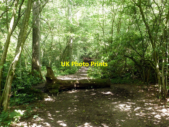 Photo 6"x4" Public footpath 9W Copthorne\/TQ3139 c2014