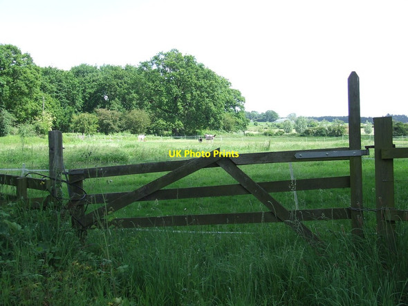 Photo 6"x4" Old Wooden Gate Blaxhall c2014