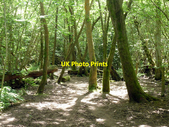 Photo 6"x4" Public footpath 10W Copthorne\/TQ3139 c2014 P1