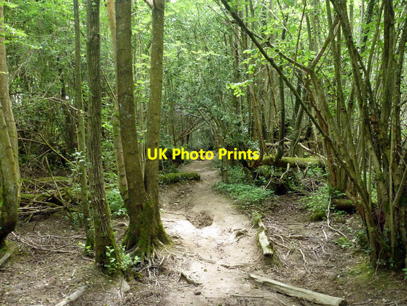 Photo 6"x4" Public footpath 10W Copthorne\/TQ3139 c2014 P2