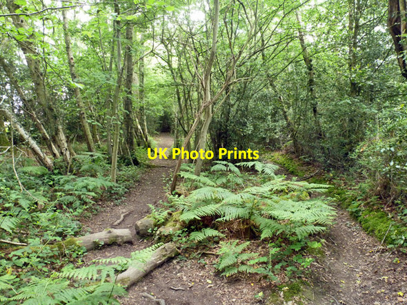 Photo 6"x4" Public footpath 10W Copthorne\/TQ3139 c2014