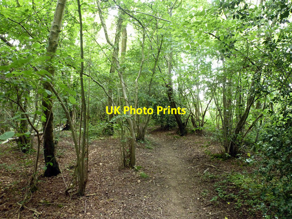 Photo 6"x4" Public footpath 10W Copthorne\/TQ3139 c2014 P2