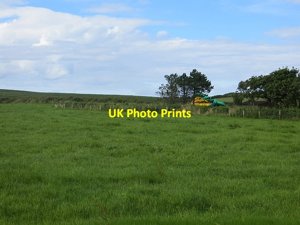 Photo 6"x4" Grassland off Causeway Road Dunseverick c2013