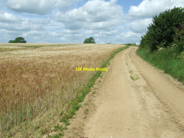Photo 6"x4" Wheat Field And Track Farnham\/TM3660 c2014