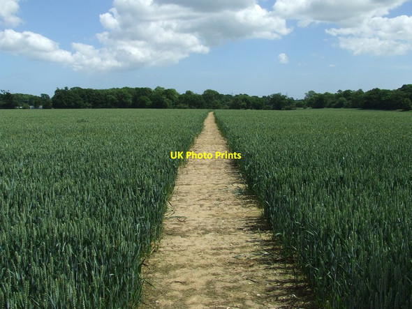 Photo 6"x4" Straight Path Farnham\/TM3660 c2014
