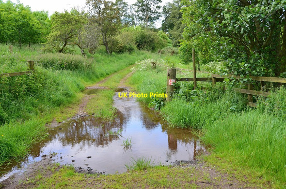 Photo 6"x4" Flooded track, Southern Upland Way near Deadwife's Grave Melrose\/NT5434 c2014