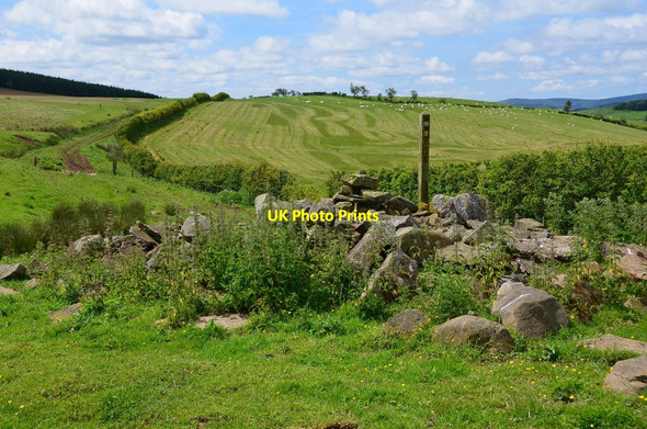 Photo 6"x4" Cairn near Housebyres Moss Easter Housebyres c2014