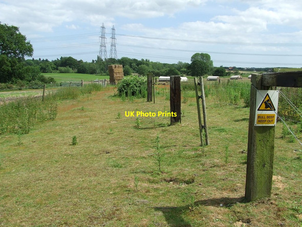 Photo 6"x4" Footpath Next To The Bulls Friday Street\/TM3760 c2014