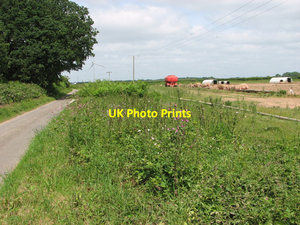 Photo 6"x4" To Weston Green on Breck Road Frans Green c2014