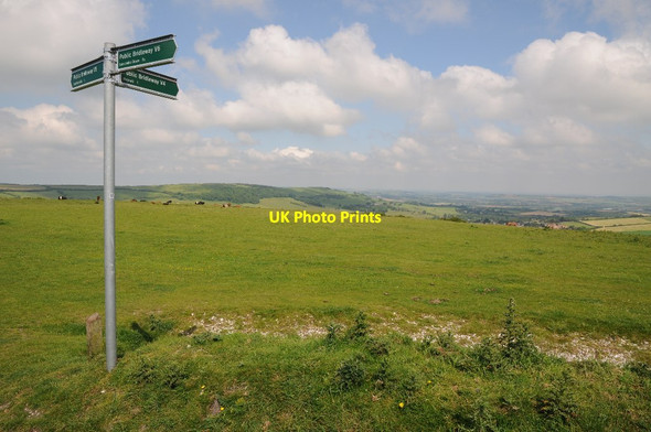 Photo 6"x4" Bridleway sign on Wroxall Down Ventnor c2014