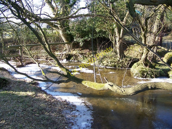 Photo 6"x4" Huckles Brook near Ogdens Farm Blissford c2009