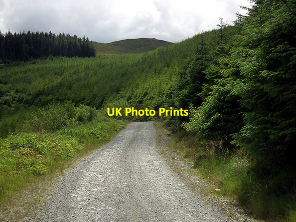 Photo 6"x4" Forestry road beneath Esgair Foel-ddu Coed y Garth c2014