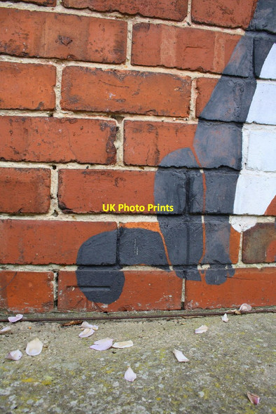 Photo 6"x4" Benchmark on a dog's tail on #111 Bloxham Road Banbury\/SP4540 c2014