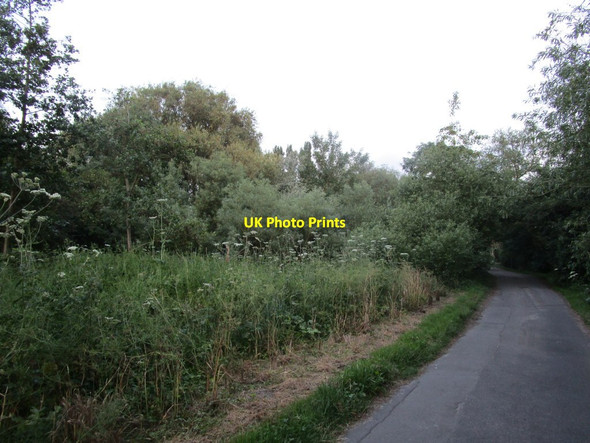 Photo 6"x4" Mill Lane Scaftworth c2014