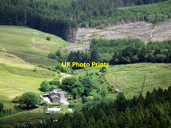 Photo 6"x4" Blaeneinion in the Artists Valley Coed y Garth c2014