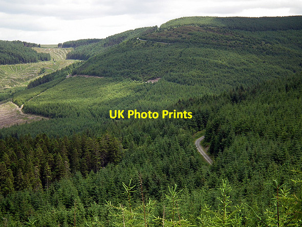 Photo 6"x4" A view over Moel y Llyn (fach) Llwyngwinau c2014