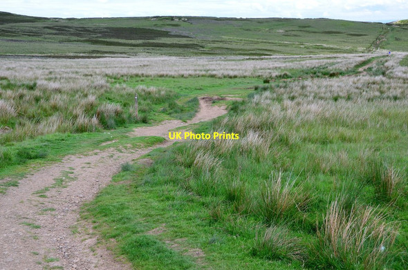Photo 6"x4" Path to Balerno Silverburn\/NT2060 c2014
