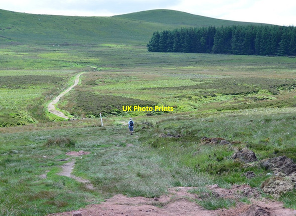 Photo 6"x4" Path through the hills Malleny Mills c2014