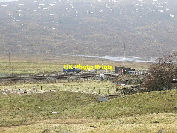 Photo 6"x4" Level crossing, Dalnaspidal General Wade's Military Road\/NN6473 c2014