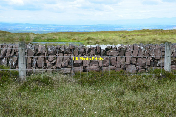 Photo 6"x4" Wall construction, Kitchen Moss Silverburn\/NT2060 c2014
