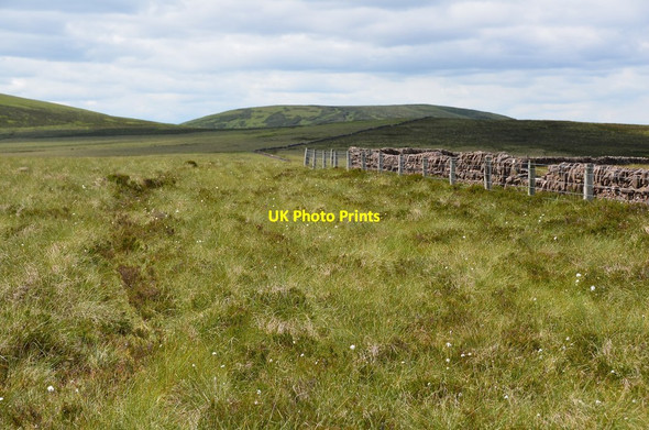 Photo 6"x4" Kitchen Moss Kitchen Moss c2014