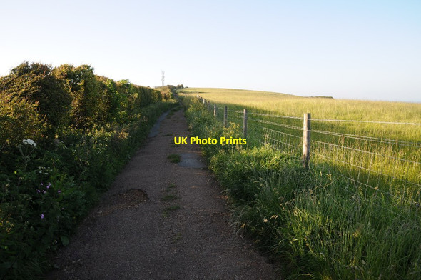 Photo 6"x4" Bridleway on Stenbury Down Nettlecombe\/SZ5278 c2014