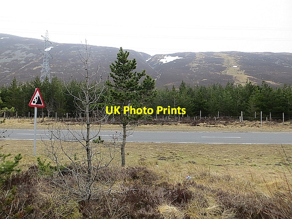 Photo 6"x4" A9, Pass of Drumochter Boar of Badenoch\/An Torc c2014