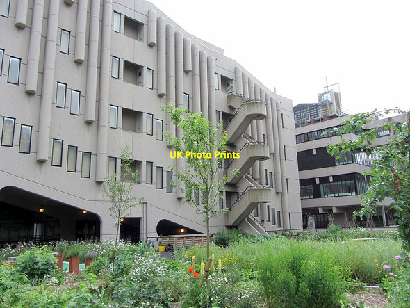 Photo 6"x4" Sustainable garden, Chancellor's Court, Leeds University Leeds\/SE3034 c2014