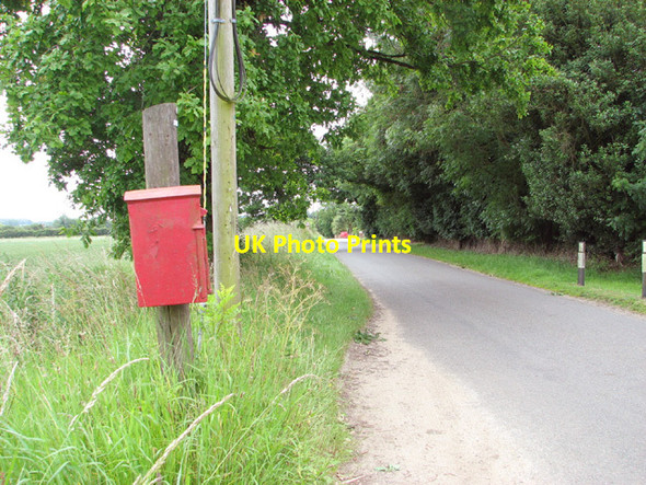 Photo 6"x4" Rural lane past High Common High Common\/TF9905 c2014