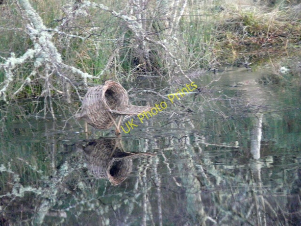 Photo 6"x4" Duck house in Skibo Castle grounds Clashmore\/NH7489 c2009