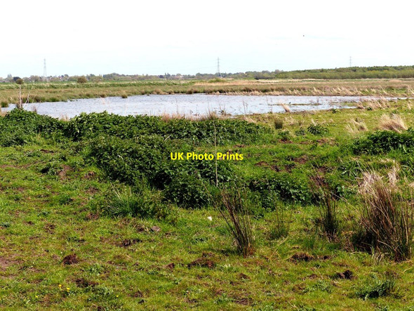 Photo 6"x4" Lunt Meadow Nature Reserve Homer Green c2015