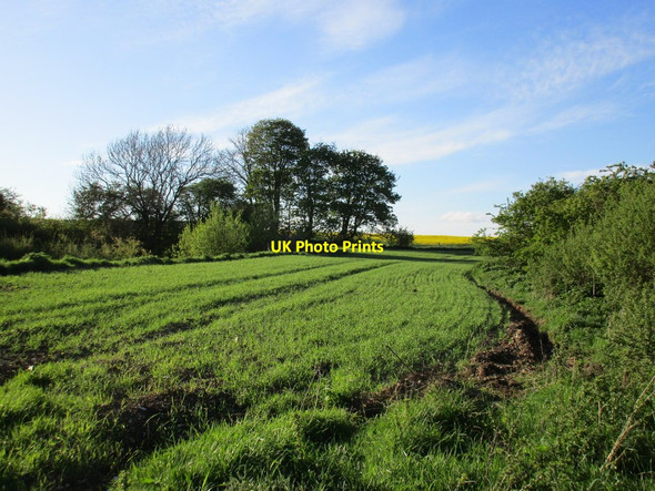 Photo 6"x4" Double Dike High Hunsley c2015