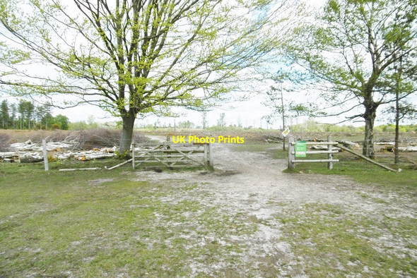 Photo 6"x4" Ipley Inclosure, gate Applemore c2015