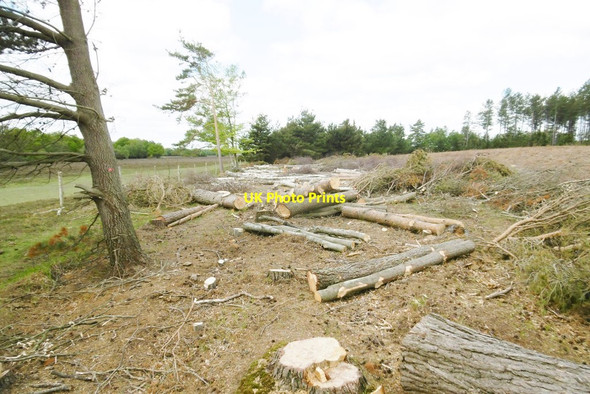 Photo 6"x4" Ipley Inclosure, timber Applemore c2015