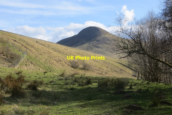 Photo 6"x4" Glen Artney Auchinner c2015