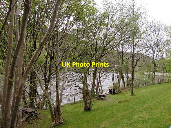 Photo 6"x4" Picnic area by the Cwm Rheidol reservoir Aberffrwd\/SN6878 c2015