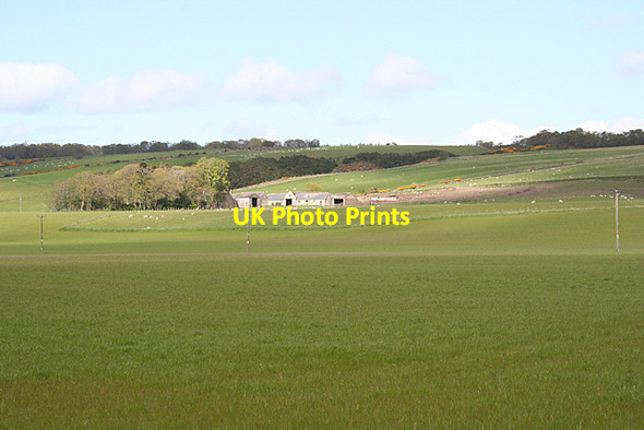 Photo 6"x4" Easter Kellas Kellas\/NJ1754 c2015