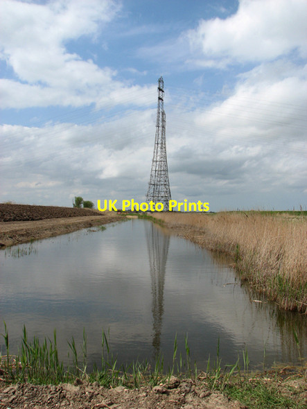Photo 6"x4" Reedbed beside the New Cut St Olaves c2015
