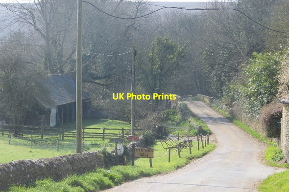 Photo 6"x4" Bredy Lane Burton Bradstock c2015