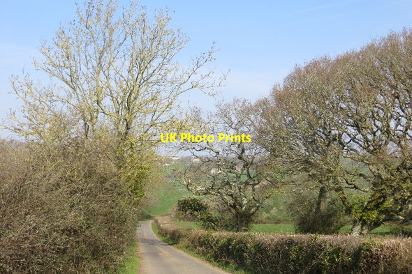 Photo 6"x4" Bredy Lane Shipton Gorge c2015