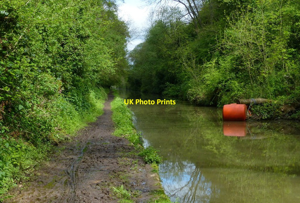 Photo 6"x4" The Brinklow cutting along the Oxford Canal Brinklow\/SP4379 c2015