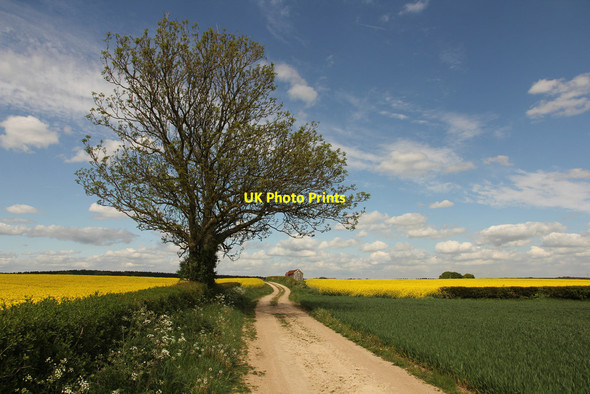 Photo 6"x4" Bridleway to Crookford Bothamsall c2015
