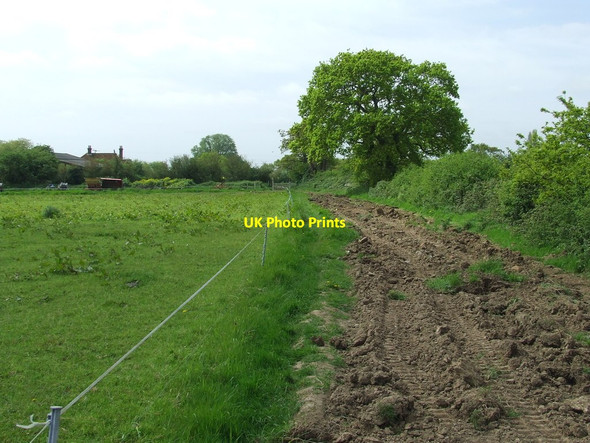 Photo 6"x4" Footpath And Track Wix c2015