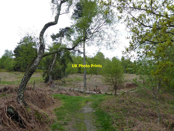 Photo 6"x4" Footpath along Stanton Moor Stanton Lees c2015