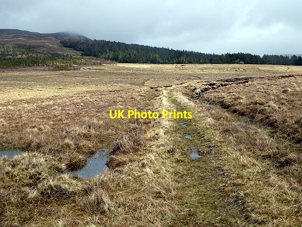 Photo 6"x4" The track across Ben Alder Forest Loch Pattack c2015