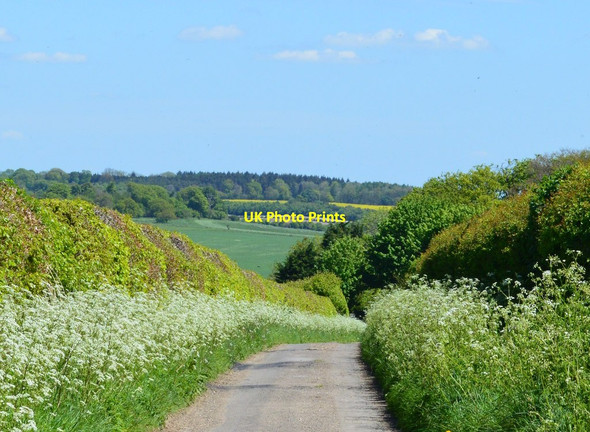 Photo 6"x4" Country lane, Fawley, Berkshire Fawley\/SU3981 c2015