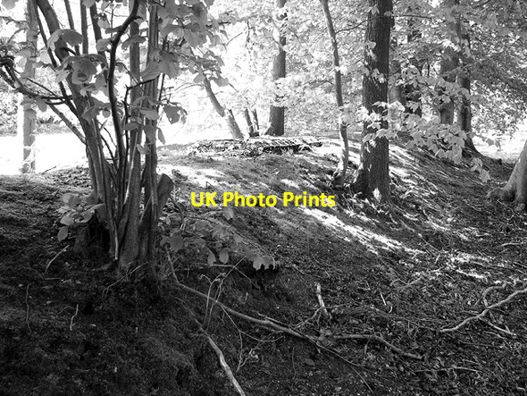Photo 6"x4" WW2 air raid shelters Poringland c2015